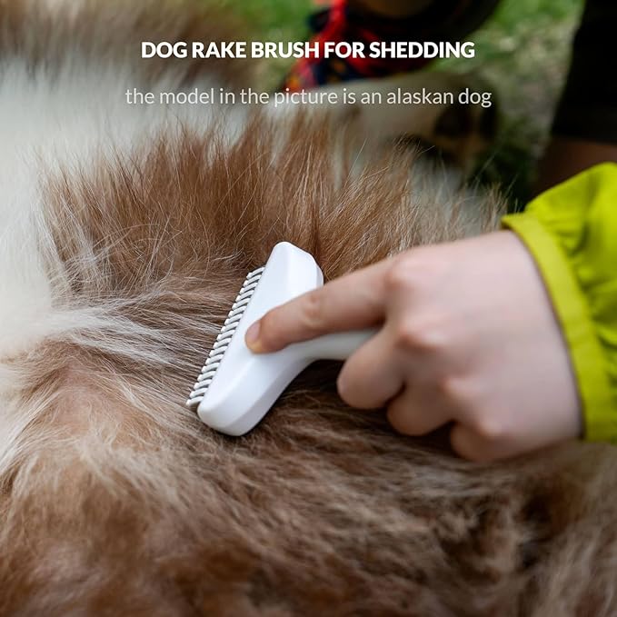 Self Cleaning Grooming Rake Brush for Shedding Gently Removes Loose Undercoat Mats Tangled Deshedding Grooming Tool for Dogs Cats Extra Wide (Blue)
