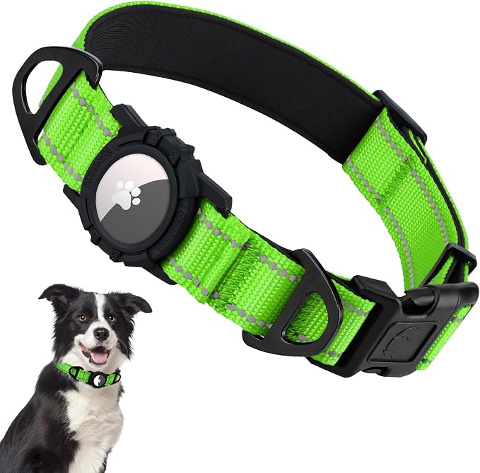 Taglory AirTag Dog Collar with Waterproof Holder for Medium Dogs, Green, M | Reflective for Night Walks & Low-Light Safety, Track Your Pup Peace of Mind, Adjustable Soft Padded, No More Dangling Tags