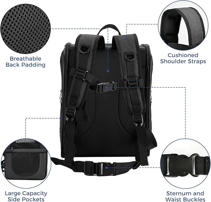 Apollo Walker Dog & Cat Carrier Backpack for 4-18lb Pets - Ventilated Safe Design with Padded Back Support, Breathable Mesh Pet Backpack for Hiking, Travel, Outdoor (Black)