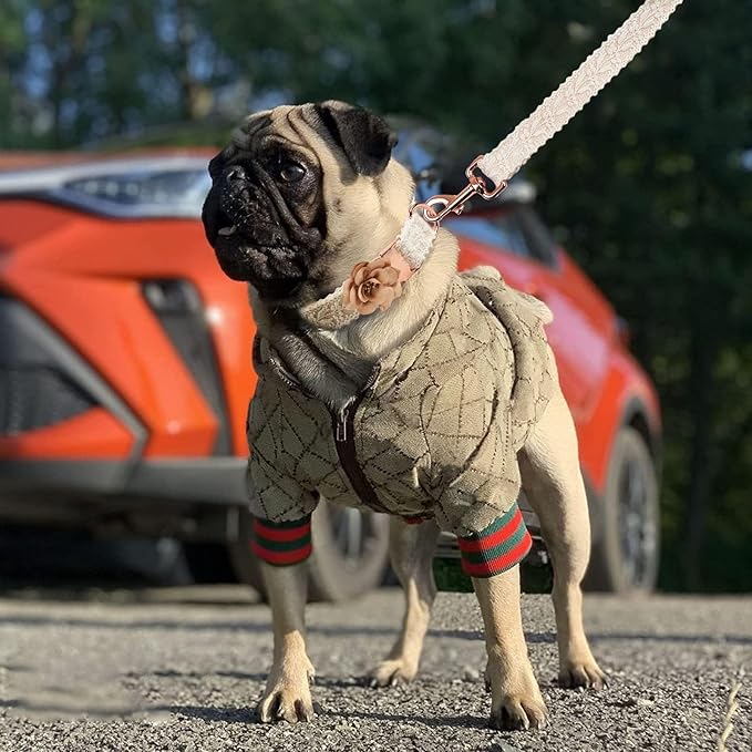 Dog Hoodie Luxury Winter Small Dog Jacket Clothes Classic Designer French Bulldog Teddy Pug Puppy Clothes(L)