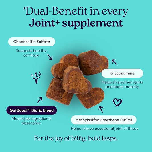 New! WellJoy Dog Supplement Joint+ GutBoost | Dog Health Supplement | Supports Healthy Flexible Joints | Dual-Benefit GutBoost Formulation | Vet Formulated | USA Made | Chicken Flavor | 90 Soft Chews