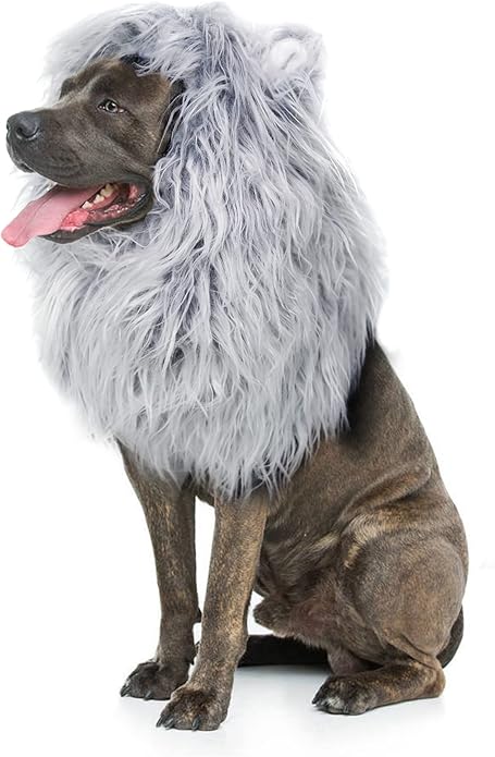 Onmygogo Lion Mane Wig for Dogs with Ears, Funny Pet Costumes for Halloween Christmas