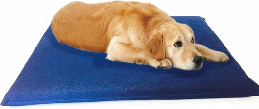 Luxurious Comfort Solid Pad Memory Foam Pet Dog Bed with Inner Waterproof Case and External Cover for Medium and Large Dogs + Free 2nd Cover (Complete Bed - 45"x27"x3", Denim - Blue)