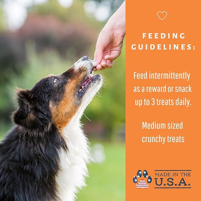 Dog Mamma's Organic Pumpkin Snaps Recipe - Certified Organic Dog Treats 6 oz