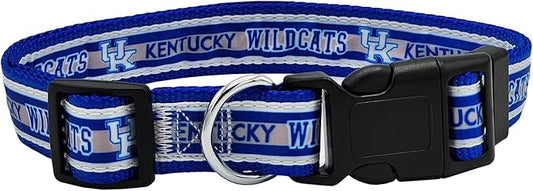 Pets First Collegiate PET Collar OLD VERSION Kentucky Wildcats Dog Collar, Size Large. Best Sports Team Collar for Dogs & Cats. A Shiny & Colorful Dog & Cat Collar Licensed by The NCAA