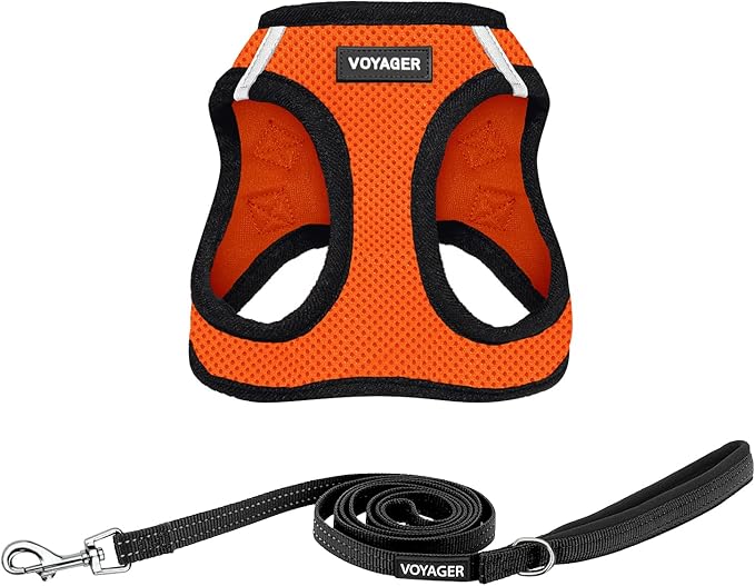 Best Pet Supplies Voyager Step-in Air All Weather Mesh Harness and Reflective Dog 5ft Leash Combo with Neoprene Handle, for Small, Medium and Large Breed Puppies - Set (Orange/Black Trim), Small