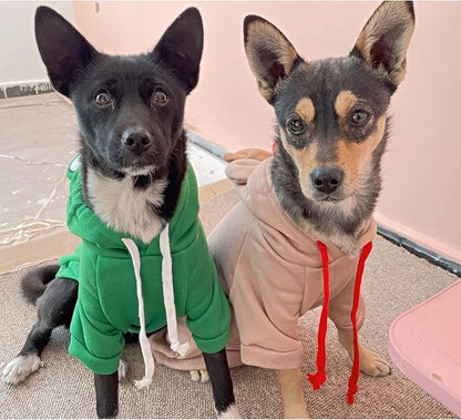 Dog Hoodie Basic Sweater Coat Cute - Frog Shape Warm Jacket Pet Cold Weather Clothes Outfit Outerwear for Cats Puppy Small Medium Dogs (XXL)