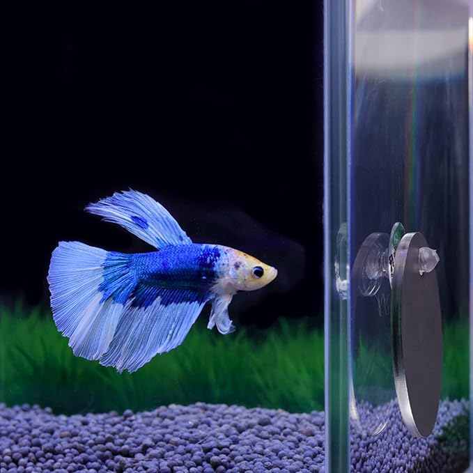Floating Betta Exercise Mirror for Fish Tank, 5cm/6cm/7cm Round Mirror Special for Betta Fitness