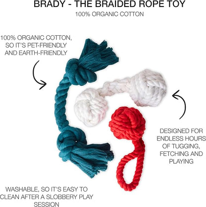 Pet Passion Brady The Rope Tug Toy 3-Pack Organic Cotton Dog Rope Pull Toys for All Pet Breeds, Holiday, One Size