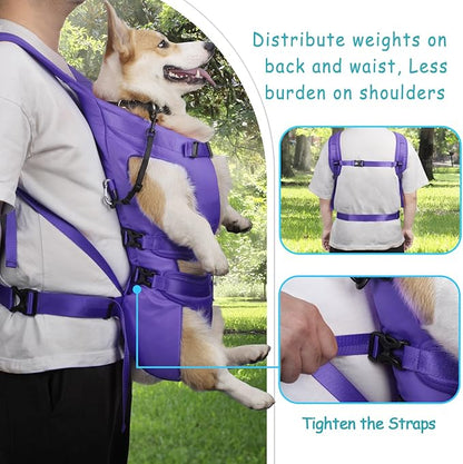 PetBonus Pet Front Dog Carrier Backpacks, Adjustable Pet Backpack, Legs Out Easy-fit Puppy Chest Carrier for Medium Small Dogs, Hands Free for Hiking, Cycling (Purple, XL)