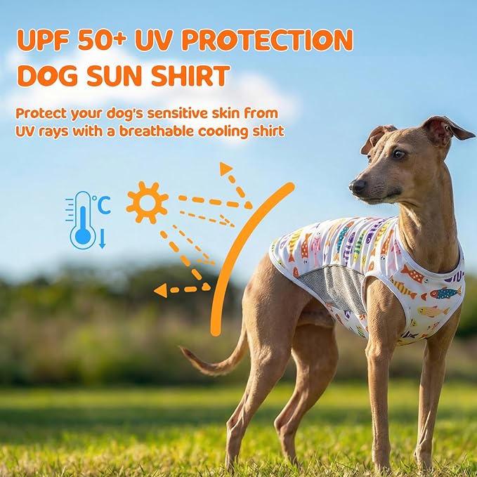 UPF 50+ Sun Protection Dog T-Shirt, 2 Pack Lightweight Sleeveless Dog Vest for Small Medium Dogs Boy – Reflective Strips, Quick-Dry Pet Apparel, Sports Fan Shirt P23ST00509XL