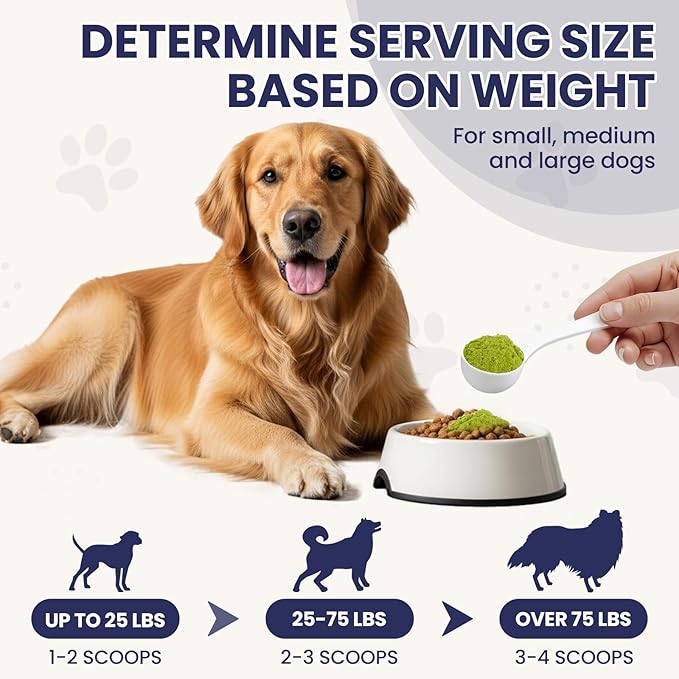 Dog Dental Cleaning Immunity Powder Dog Dental Cleaning Powder with Probiotics to Lighten Bad Breath and Control Plaque Tartar Supports Dogs Dental Care and Immune Health 4.23 OZ