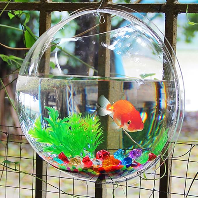 Alipis Transparent Creative Wall Mounted Fish Tank Acrylic Fish Bowl Hanging Aquarium for Home Decor 6.7 Inch Space Saving Wall Aquarium Suitable for Betta and Air Plants