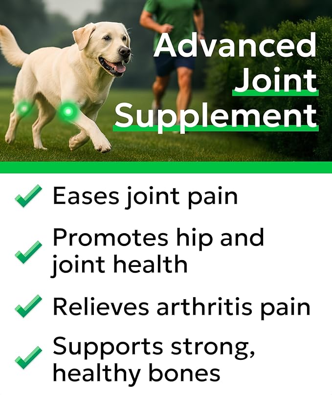 Bark&Spark Senior Advanced Glucosamine Chondroitin for Dogs - Hip Joint Pain Relief - Old Dog Joint Chews Large & Small Breed - Hip Joint Chews Joint Health Care Treats - 120Ct