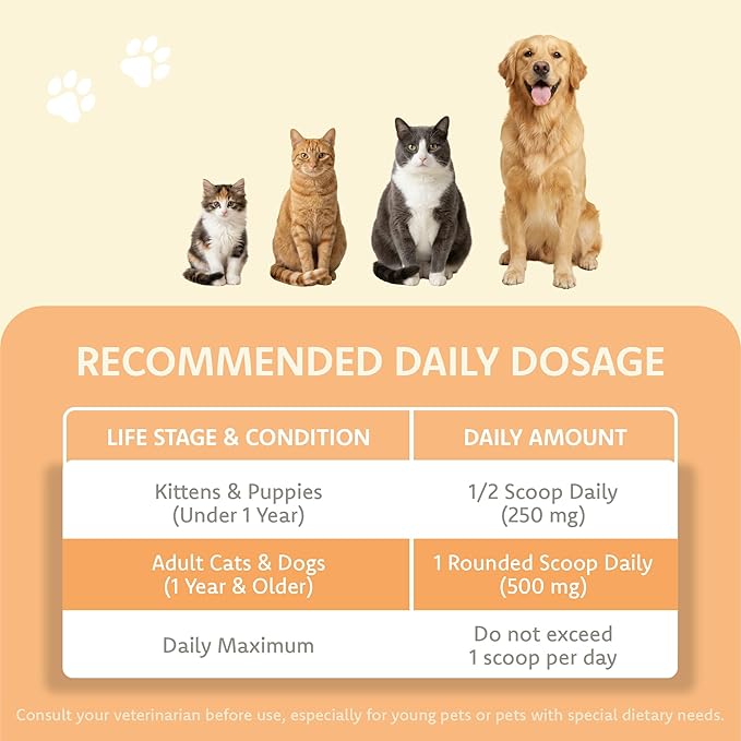 LOVITA Pets L-Lysine Powder for Cats & Dogs, Immune Support Pet Supplement with AjiPure L-Lysine and Vitamin C, Salmon Flavor for Daily Use, Includes Scoop
