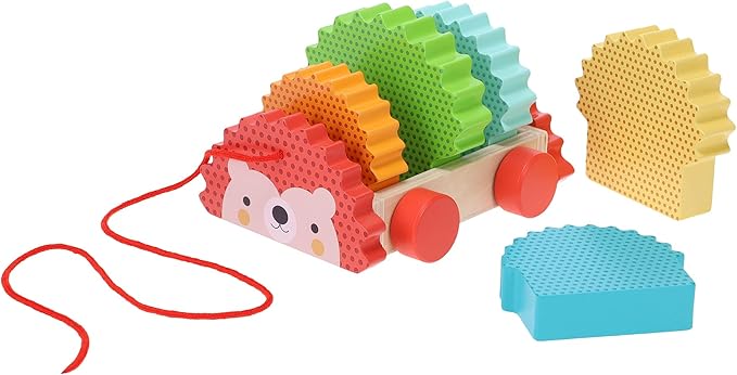 Petit Collage Rainbow Hedgehog Wooden Pull Toy