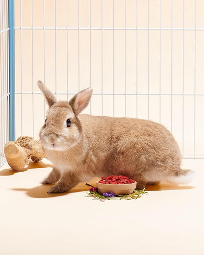 Niteangel Goji Berries Rabbits Snack Treats: 12pcs Natural Chew Toys for Bunny Chinchilla Guinea Pigs and Other Small Animals