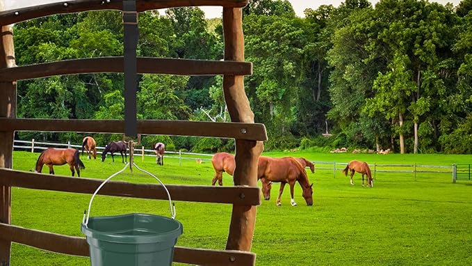 Adjustable Nylon Bucket Strap （3 Pack）- for Hay Nets, Water Buckets, Hanging Strap,Horse Outdoor Feeders,Heavy Duty Horse Water Feed, 30" (Black)