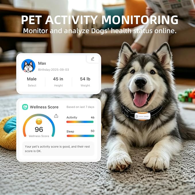 GPS Dog Tracker, 12-Mo Sub, Real-Time Loc, E-Fence, Health Monitor