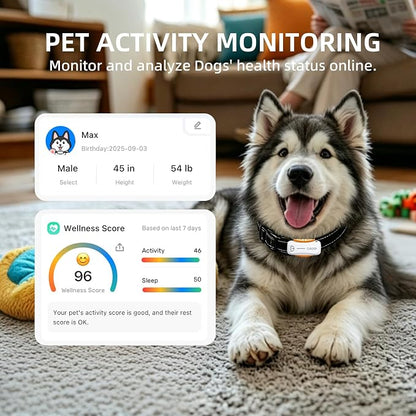 GPS Dog Tracker, 12-Mo Sub, Real-Time Loc, E-Fence, Health Monitor
