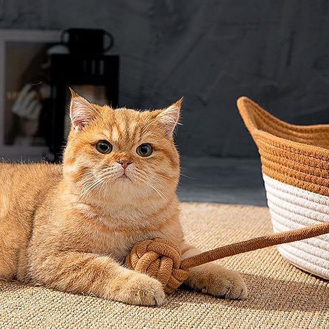 Pet Bed for Cats and Dogs Pet Nest Beds for Indoor Cat Puppies Small Pets Wicker Pet Litter with Handle Cozy Cat Litter Pet Accessories
