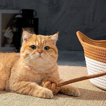 Pet Bed for Cats and Dogs Pet Nest Beds for Indoor Cat Puppies Small Pets Wicker Pet Litter with Handle Cozy Cat Litter Pet Accessories