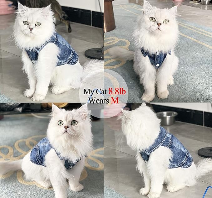 Jean Jacket, Blue Denim Lapel Vest Coat Costume, Dog & Cat T-Shirt Clothes, Cool & Funny Apparel Outfits, Machine Washable for Small & Medium Dogs & Cats (L)
