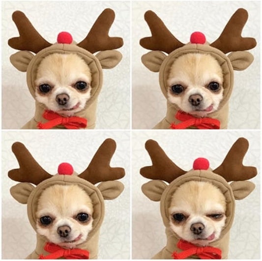 Warm Dog Winter Clothes Cute Fruit Dog Coat Hoodies Fleece Pet Dogs Costume Jacket for French Bulldog Chihuahua Ropa para Perro(Coffee,S)