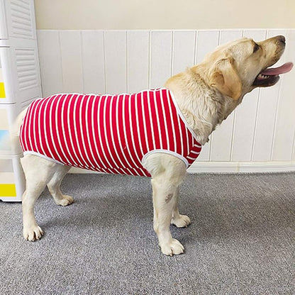 Dog’s Recovery Suit Post Surgery Shirt for Female Male Dog, E-Collar Alternative Wound Protective Clothes (red White-XL)