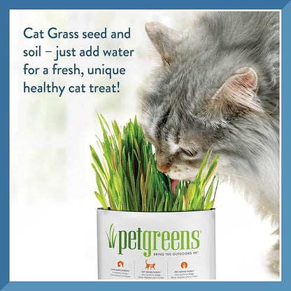 Pet Greens 4 Pack Cat Grass Garden Wheatgrass self Grow and Medley Oat, Rye and Barley, 2 of Each 3oz Package
