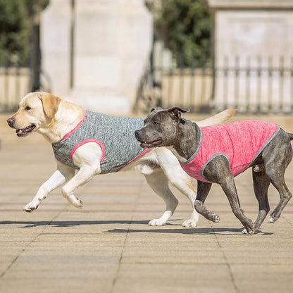 KYEESE 2Pack Dog Shirt, Lightweight Sun Protection Sleeveless Dog T Shirts for Medium Large Dogs, Breathable Pet Reflective Tank Top Summer Dogs Clothes for Outdoor Walking, Coral Red+Grey, 2XL