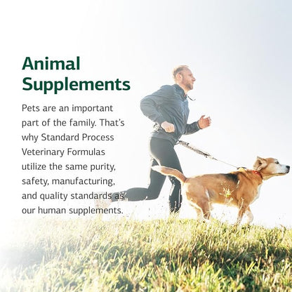 Standard Process Inc. VF Bio-Dent for Pets - Bone Growth & Healthy Tissue Support Pet Supplement - Overall Mouth Health Support Supplement - Nutritional Supplement for Cats & Dogs - 90 Tablets