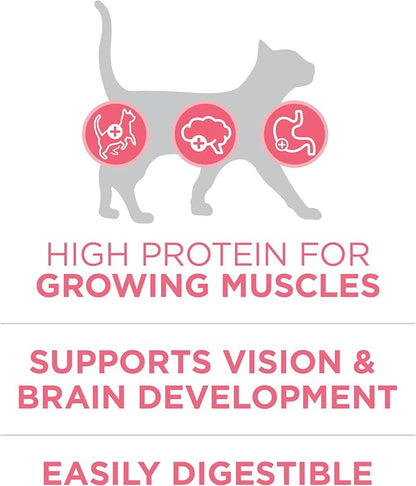 Purina ONE High Protein, Natural Dry Kitten Food, +Plus Healthy Kitten Formula - 7 lb. Bag