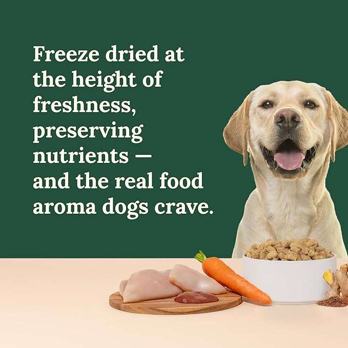 360 Pet Nutrition Freeze-Dried Raw Dog Food – Chicken Recipe with Liver & Organs, High Protein, Omega-3s, Fruits, Veggies & Superfoods, Grain-Free, No Fillers 4 x 16 oz Made in USA