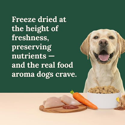 360 Pet Nutrition Freeze-Dried Raw Dog Food – Chicken Recipe with Liver & Organs, High Protein, Omega-3s, Fruits, Veggies & Superfoods, Grain-Free, No Fillers, 5 oz – Made in USA