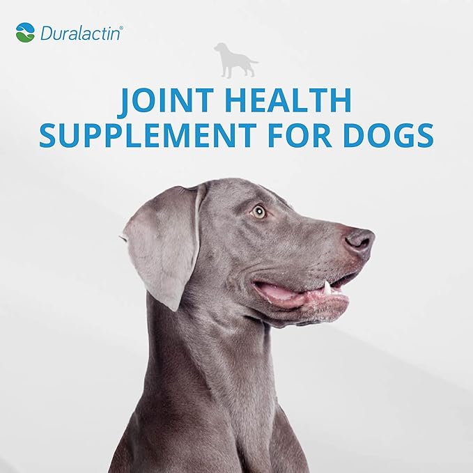 PRN Pharmacal Duralactin Canine Chewable Tablets - Joint Health Supplement for Dogs & Puppies - Pet Mobility Support - Vanilla Flavored Chews - 60 Count
