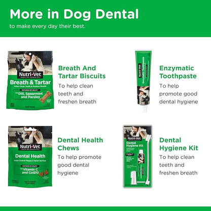 Nutri-Vet Enzymatic Dog Toothpaste, Plaque Remover for Teeth, Dog Breath Freshener, Tooth Whitening, Puppy Essentials, Made in the USA, Non-Foaming Chicken Flavor, 2.5 oz