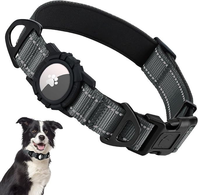 Taglory AirTag Dog Collar with Waterproof Holder for Medium Dogs, Gray, M | Reflective for Night Walks & Low-Light Safety, Track Your Pup Peace of Mind, Adjustable Soft Padded, No More Dangling Tags
