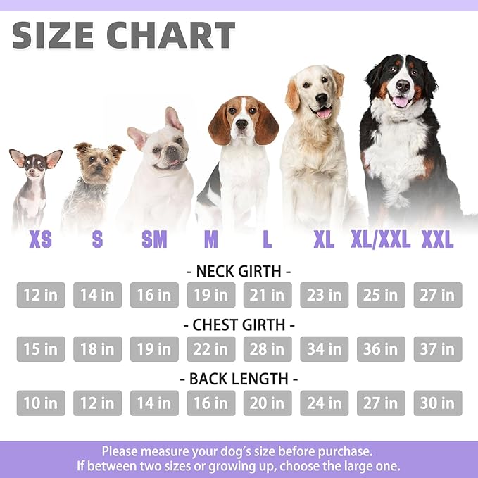 KOOLTAIL Dog Hoodie for Small Medium Dogs Cats, Soft&Warm Pet Sweater with Leash Hole and Pocket Boy Girl, Puppy Fall Winter Jacket Clothes, French Pitbull Cold Weather Coat Sweatshirt, Lavender XS