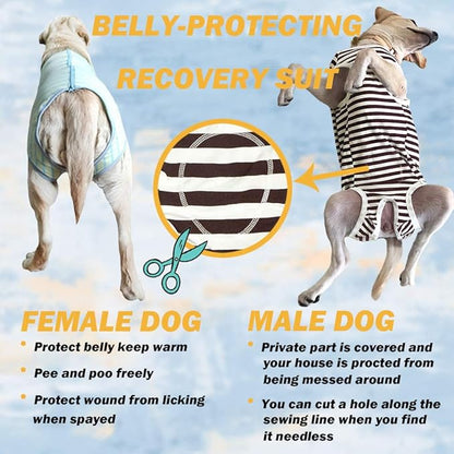 Dog’s Recovery Suit Post Surgery Shirt for Female Male Dog, E-Collar Alternative Wound Protective Clothes (Green stripe-2xl)
