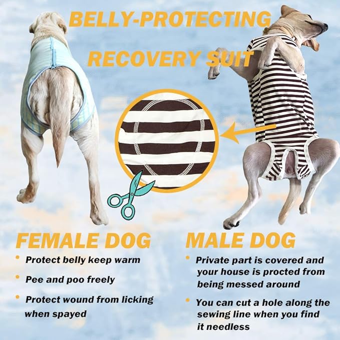 Dog’s Recovery Suit Post Surgery Shirt for Female Male Dog, E-Collar Alternative Wound Protective Clothes (Blue white-4xl)
