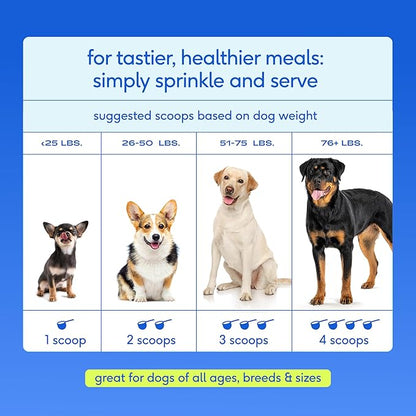 Native Pet Hip & Joint Advanced Care Dog Joint Supplement Powder for Mobility & Movement Support, Joint Supplement for Dogs with HMB, UC-II Collagen, Green Lipped Mussel & Hyaluronic Acid – 60 Scoops