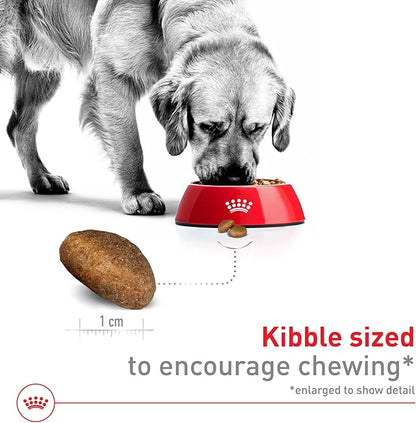 Royal Canin Size Health Nutrition Large Adult Dry Dog Food, 30 lb Bag