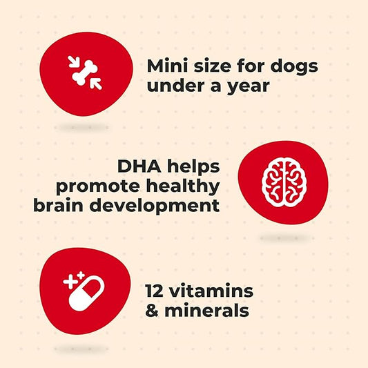 Milk-Bone Original Dog Treats for Puppies, 16 Ounce (Pack of 6), DHA Helps Support Healthy Brain Development