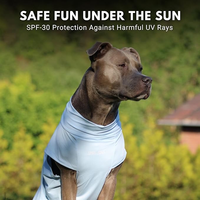 Spark Paws Sunblock Dog T-Shirt, SPF30 Protection, Lightweight Breathable Quick Dry for Dogs with Sensitive Skin - Blue & Mint (Set of 2) - 3XL