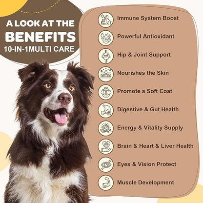 ZEBORA Dog Multivitamin with Probiotics - Dog Vitamins and Supplements - Multivitamin for Dogs with Glucosamine, Omega 3 and Probiotics for Dogs Digestion, Immunity, Joint, Skin and Coat - 180ct