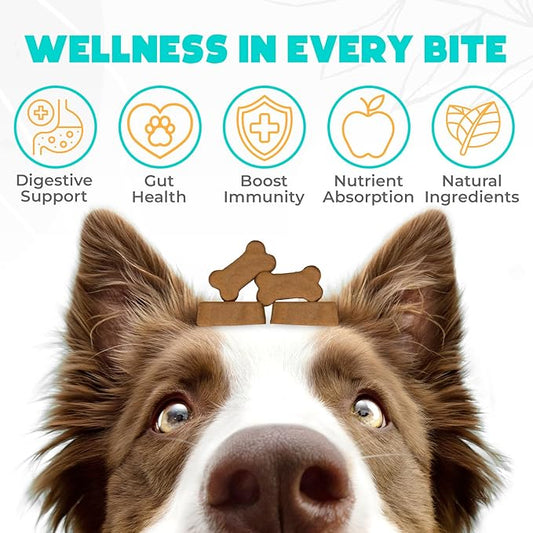 Probiotics for Dogs Chews 150PCs - Digestive, Gut Health & Diarrhea Support - Probiotic Chews for Dogs - Vet Approved US Formula with Dog Probiotics, Enzymes & Natural Ingredients - Chicken