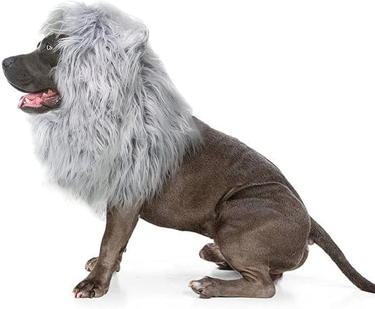Onmygogo Lion Mane Wig for Dogs with Ears, Funny Pet Costumes for Halloween Christmas