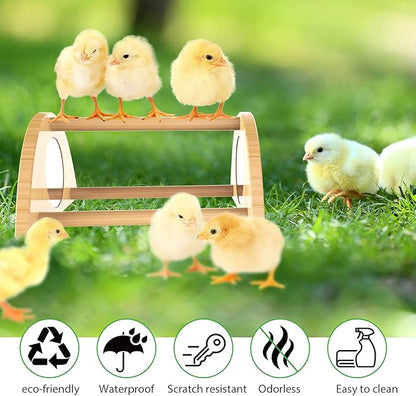 Mini Chick Perch with Mirror, Strong Bamboo Roosting Bar for coop and brooder, Training Perch for Baby Chicks, El Pollitos, La Pollita, Easy to Assemble and Clean, Fun Toys for Chick, 2 Pack