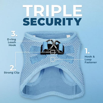 Best Pet Supplies Voyager Step-in Air All Weather Mesh Harness and Reflective Dog 5ft Leash Combo with Neoprene Handle, for Small, Medium and Large Breed Puppies - Set (Baby Blue), Medium